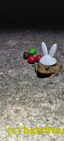 /home//u458753944/public_html/sourcegallery/////Roxborough Toad Detour/2025/2025-04-19/20250419_210414.jpg